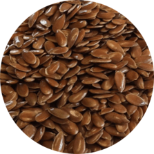 Ethiopian LINSEED 