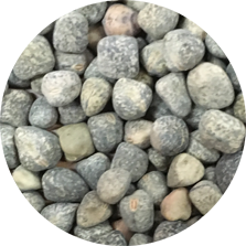 Vetch Seed